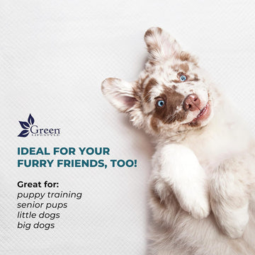 Dignity Sheets – Disposable Pet Care & Hygiene Sheets