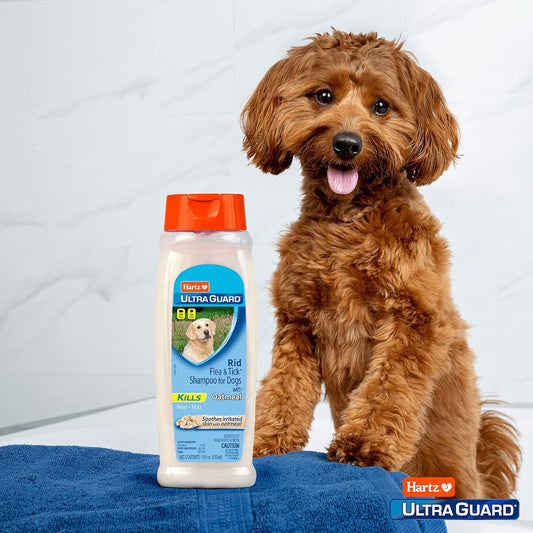 Hartz Groomer’s Best Pet Shampoo for Dogs – Gentle Cleaning & Fresh Coat