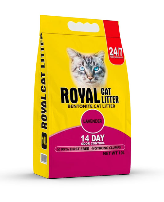 🐾 Bentonite Cat Litter – 10L 🐾