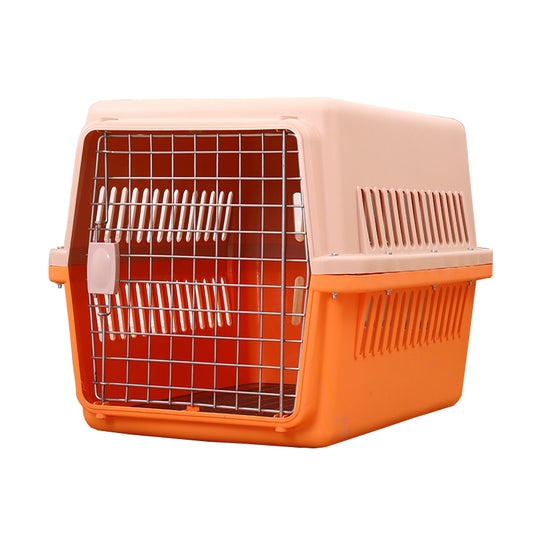 🐾 Jet Box for Cats 🐾
